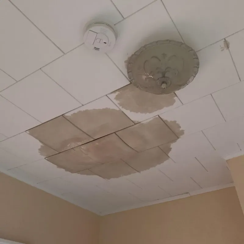 Ceiling Water Damage Repair in Childress, TX