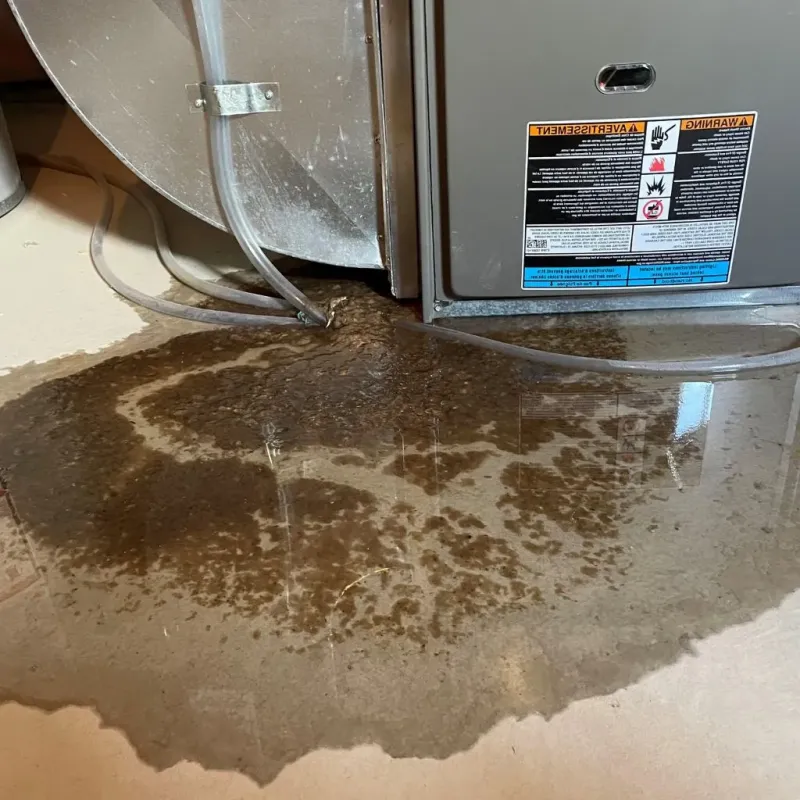 Pipe Burst and Leak Restoration in Childress, TX