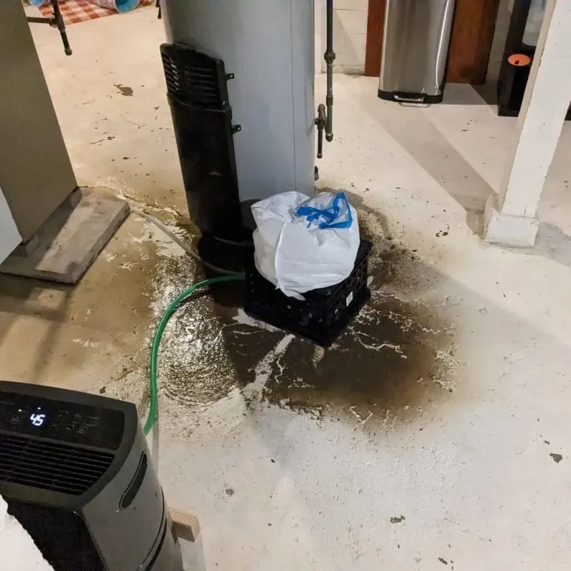 Sewage Backup Cleanup Service in Childress, TX